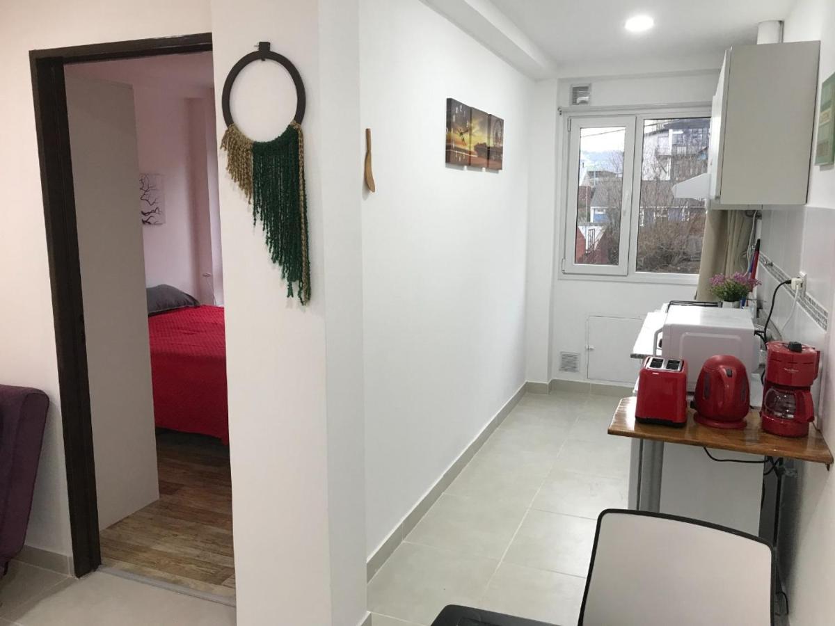 Lo De Moli 1C Apartman Ushuaia Kültér fotó
